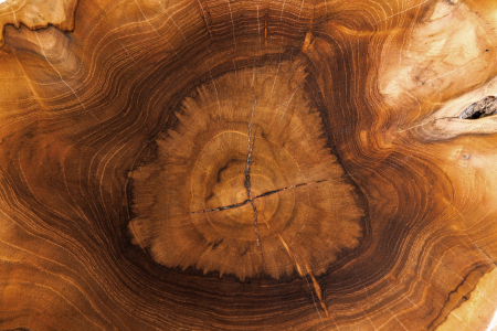 Măsuță ROOT 70 cm din lemn de tec natural [9]