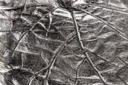 Masă laterală WILDLIFE MONKEY 55cm argintie [15]