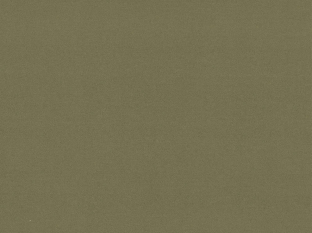 Pat Aveline cu tapițerie din catifea și piele artificială [3]