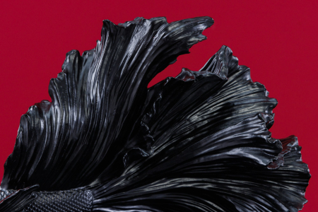 Pește decorativ CROWNTAIL 35 cm din poliresină neagră [6]