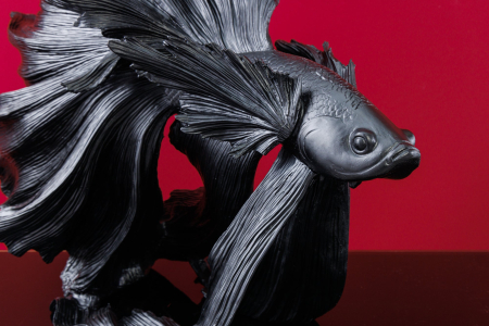 Pește decorativ CROWNTAIL 65 cm din poliresină neagră [5]