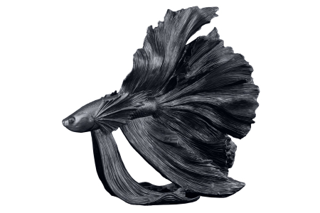 Decorațiuni - Pește decorativ CROWNTAIL 65 cm din poliresină neagră