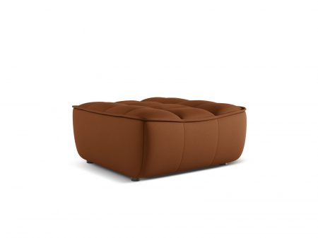 Puf Moni si tapiterie din piele naturala [1]