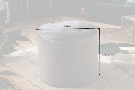 Scaun MODERN BAROCK STORAGE 50 cm catifea argintiu [7]