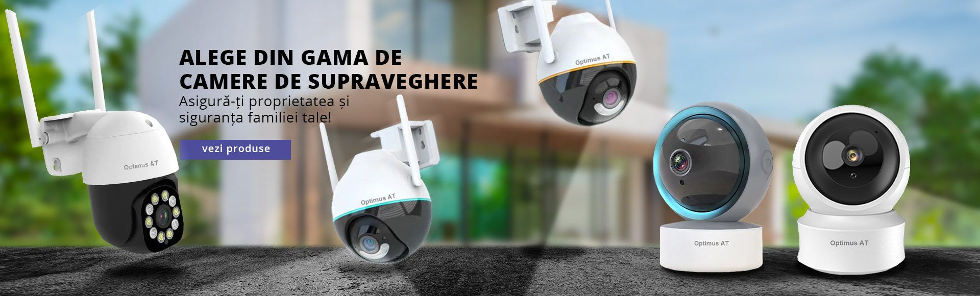 Camere 2024