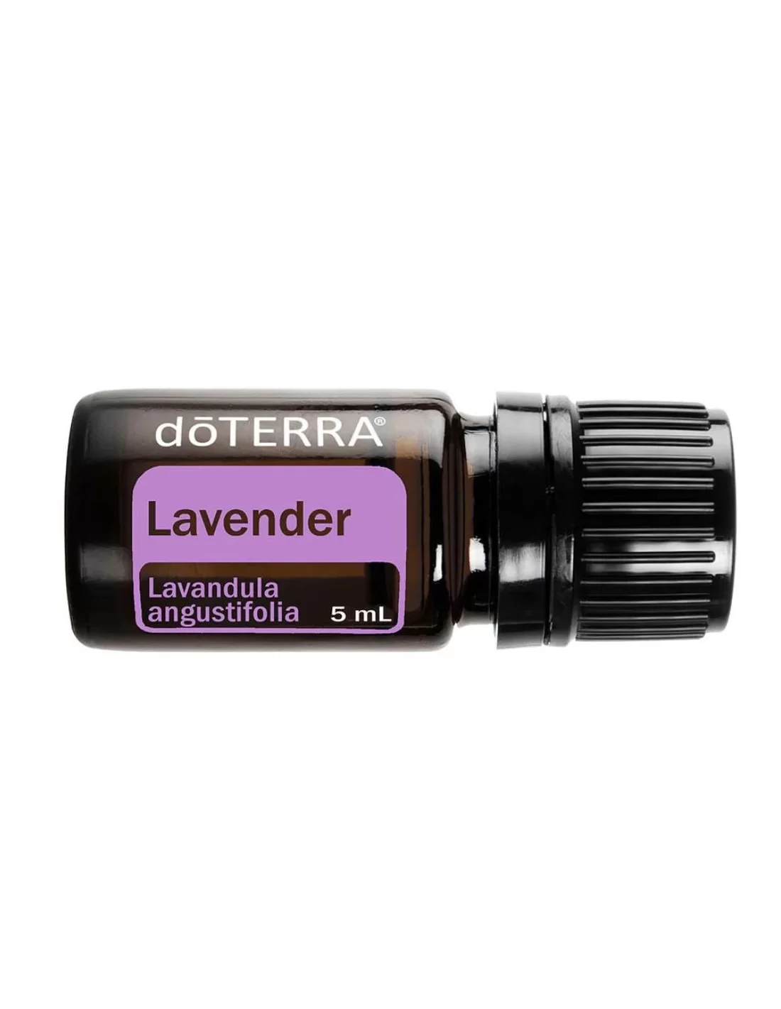 Lavender (Levănţică) Lavandula angustifolia 5 ml [2]