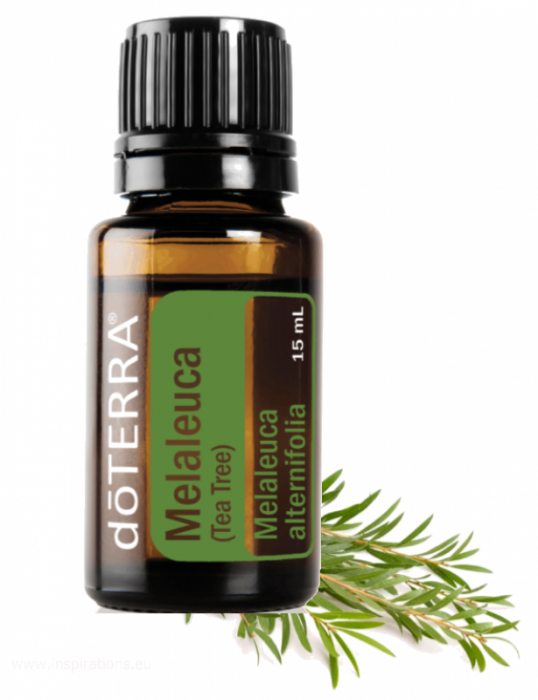 Tea Tree (Arbore de Ceai) Melaleuca alternifolia 15 ml [3]
