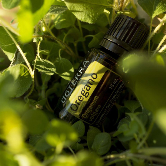 Oregano Origanum vulgare 15 ml [2]