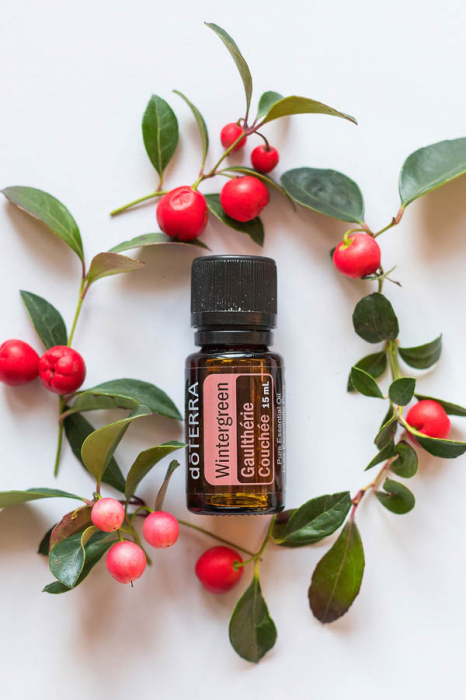 Wintergreen Gaultheria fragrantissima 15 ml [2]
