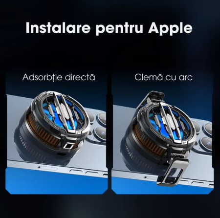 DōTerra Cedarwood CedruJuniperus virginiana 15 ml [6]