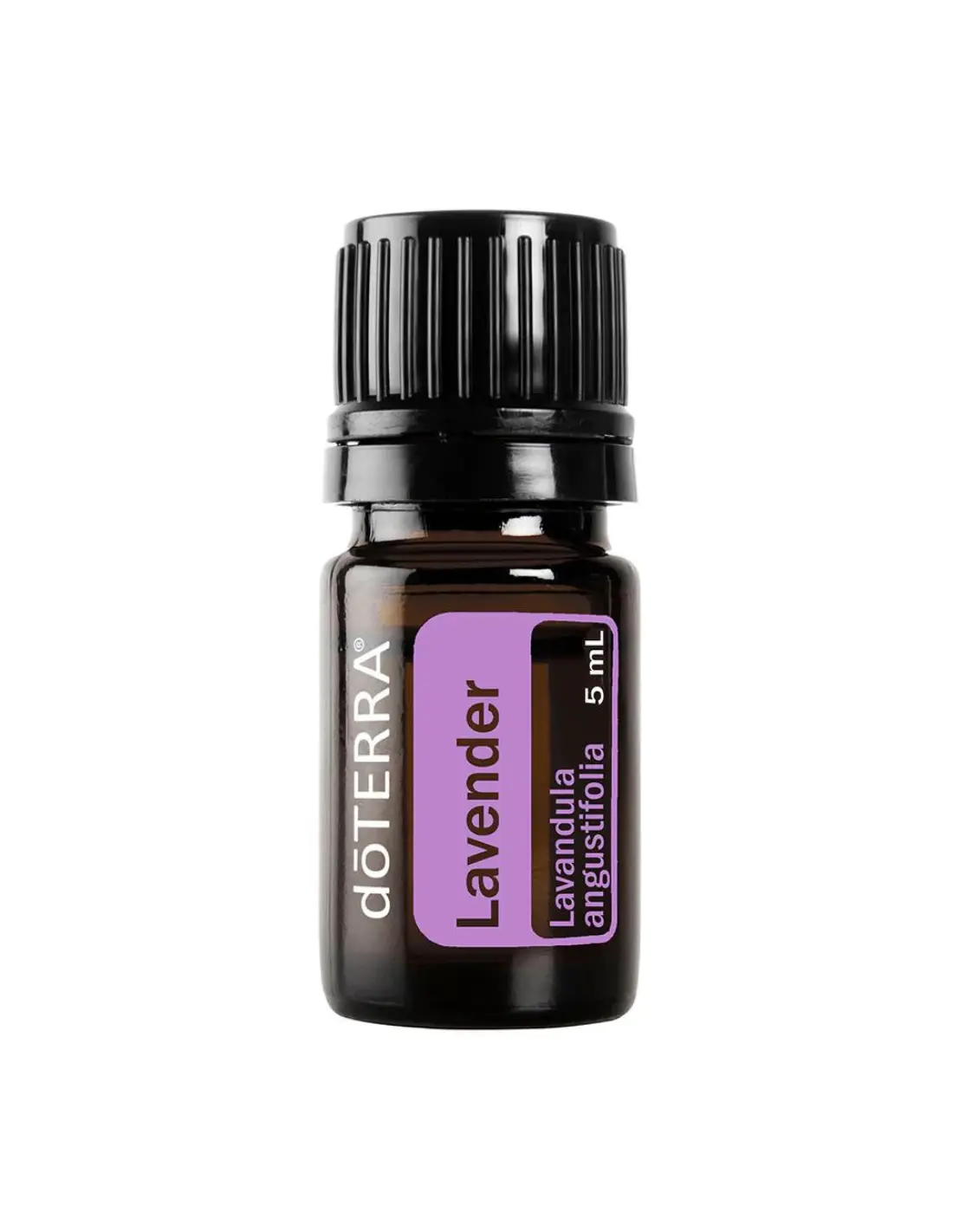 Lavender (Levănţică) Lavandula angustifolia 5 ml