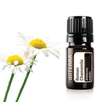 Ulei 5 ml - Roman Chamomile (Mușeţelul Roman) Anthemis nobilis 5 ml