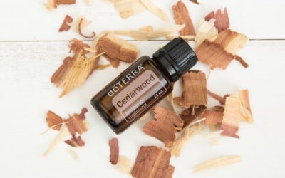 Ulei 15 ml - Cedarwood (Cedru) Juniperus virginiana 15 ml
