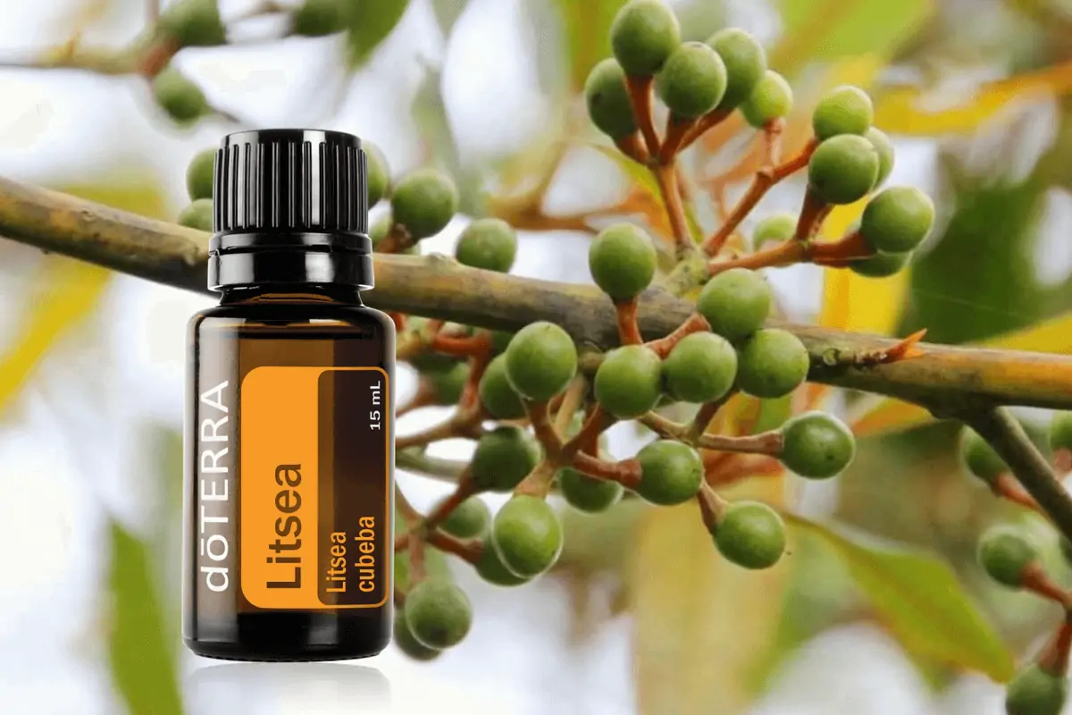 Ulei 15 ml - DōTerra Ulei Esential Litsea Cubeba, 15 ml