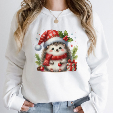 Bluze Craciun - Bluza Holiday Hog