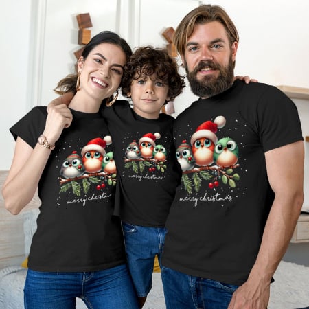 Seturi Craciun - Set Familie Christmas Birds