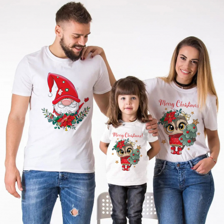 Seturi Craciun - Set Familie Merry Owl