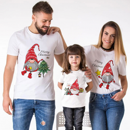Seturi Craciun - Set Familie Tree Gnomes