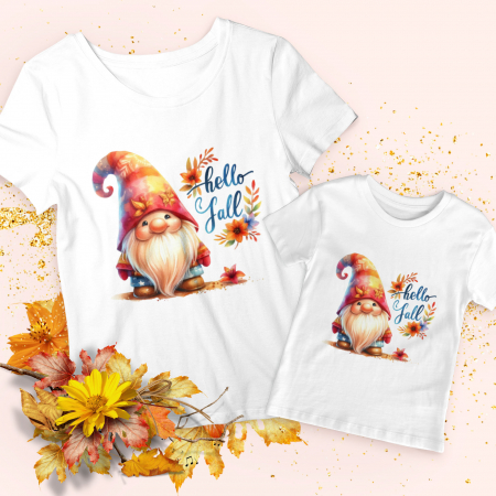 Toamna - Set Shy Gnome
