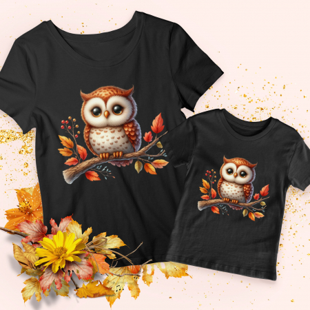Toamna - Set Autumn Owl