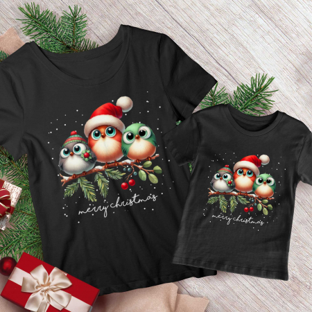 Seturi Craciun - Set Mama Copil Christmas Birds