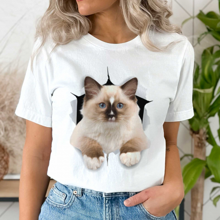 Pisici - Tricou Pisica Brown Cat