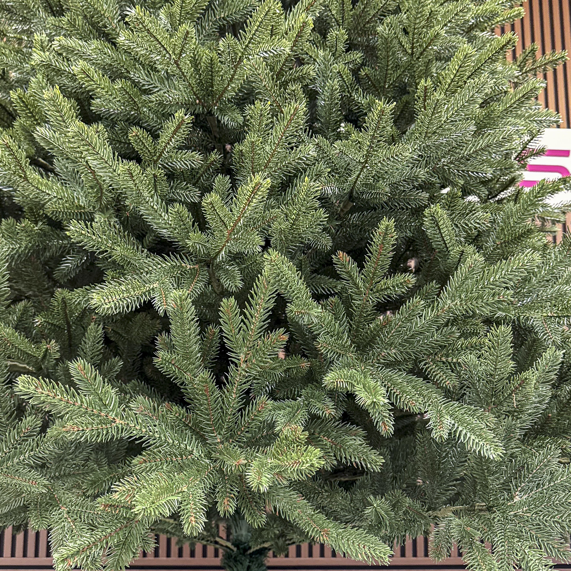 Brad artificial Christmas Deluxe by Sersimo, Alpin Select, integral 3D, 300 cm [10]