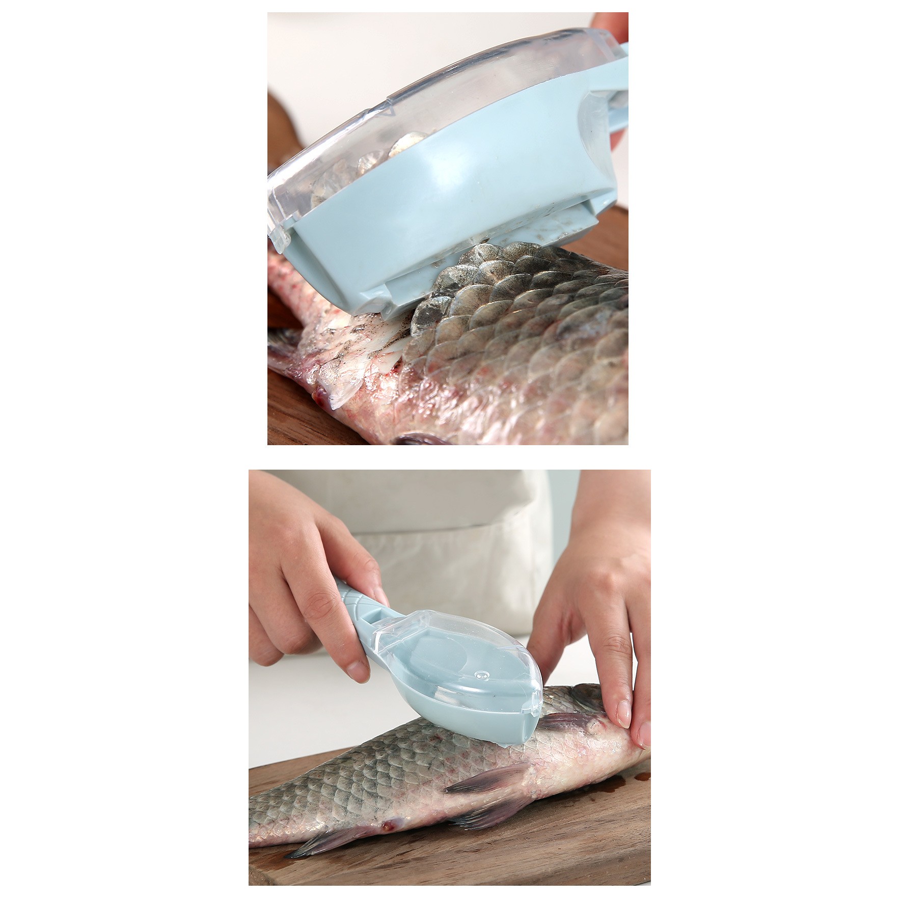 Curatator Manual Solzi de Peste, , Forma Peste , Recipient cu Capcac pentru Solzi, Plastic, Albastru deschis, 16x6 cm [4]