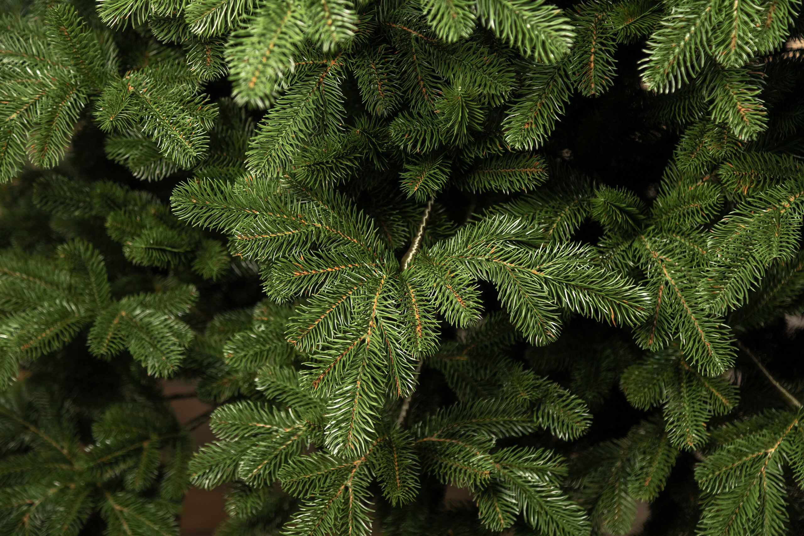 Brad artificial Christmas Deluxe by Sersimo, Kovalivka Select, integral 3D, 230cm [18]