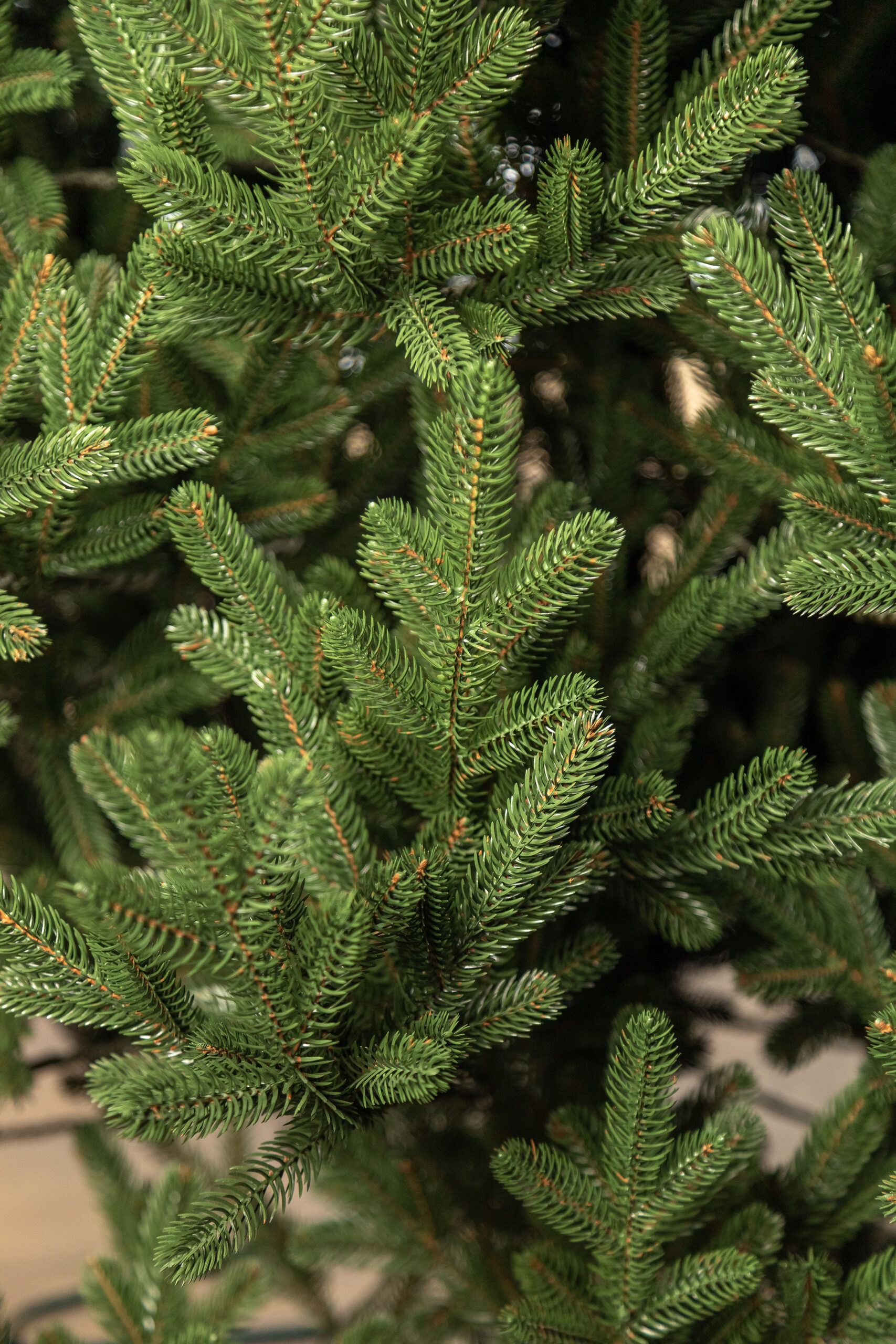 Brad artificial Christmas Deluxe by Sersimo, Viena Select, integral 3D, 230cm [10]