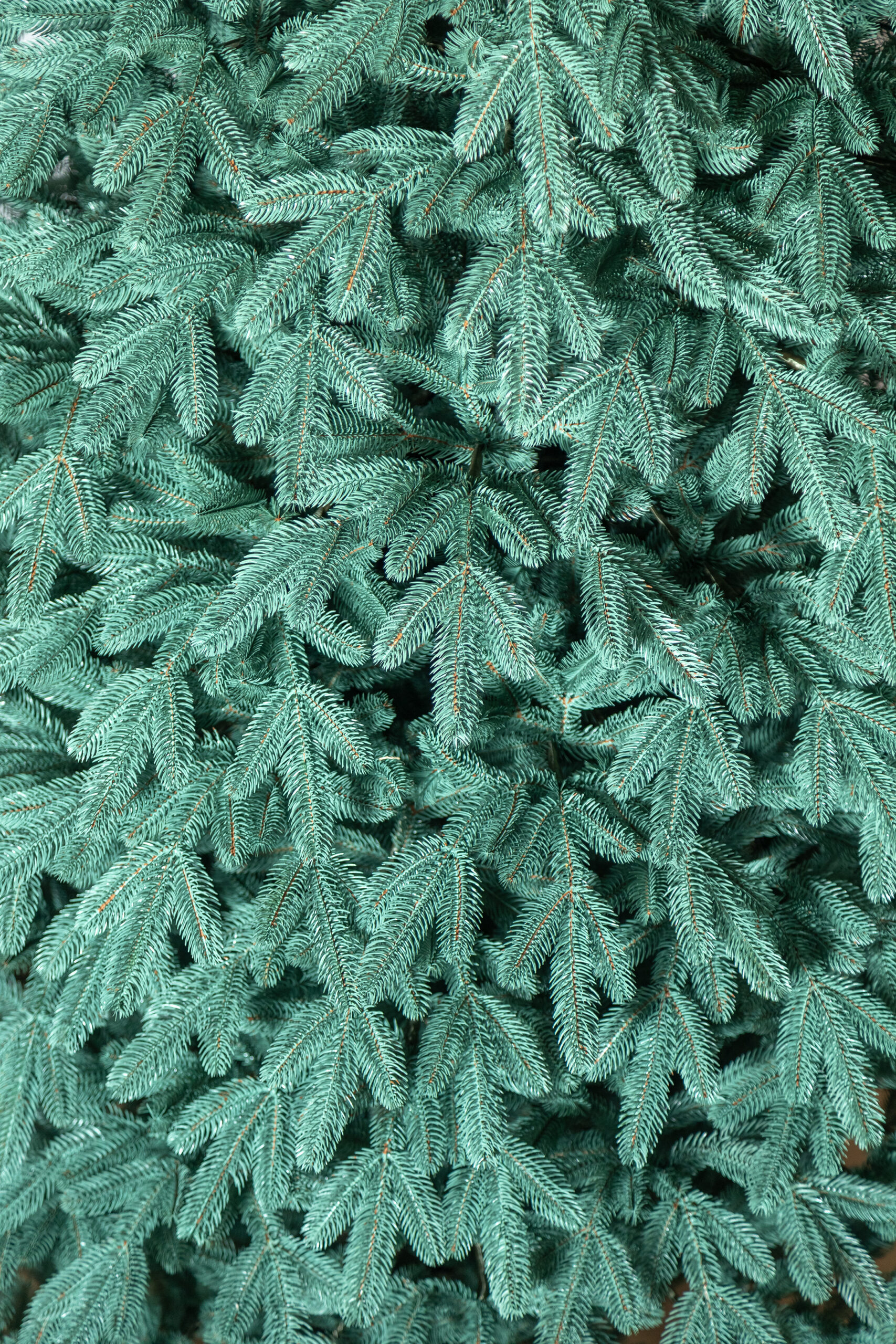 Brad artificial Christmas Deluxe by Sersimo, Laponia Select argintiu, integral 3D, 210cm [27]