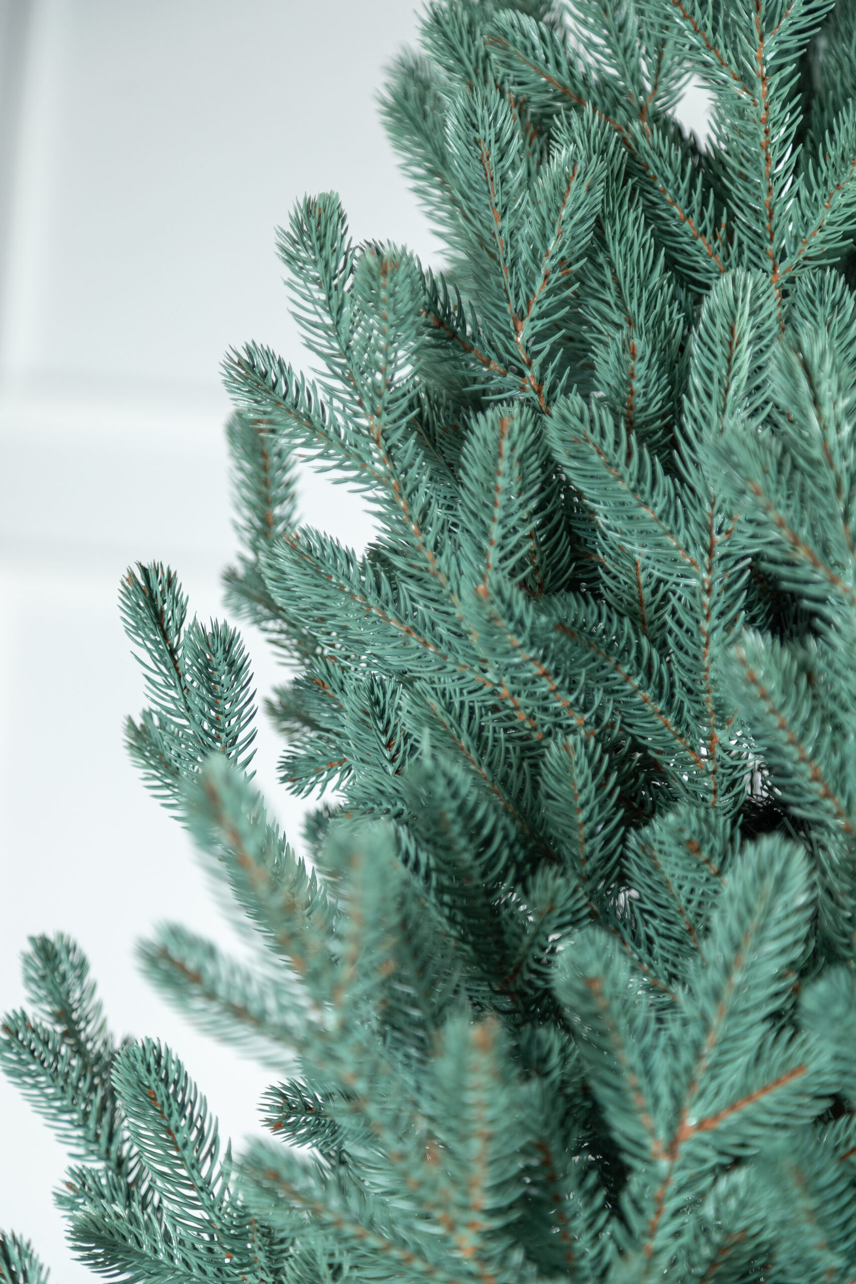 Brad artificial Christmas Deluxe by Sersimo, Viena Select argintiu, integral 3D, 230cm [25]