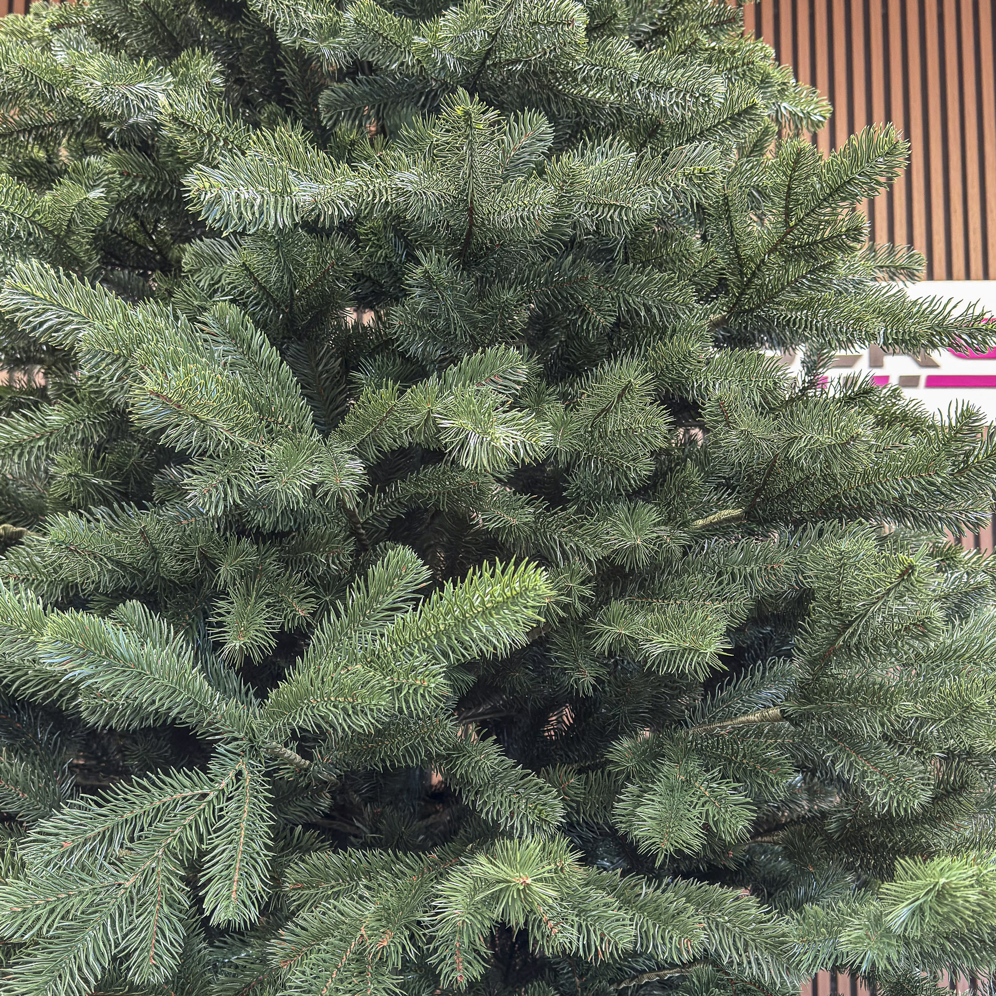 Brad artificial Christmas Deluxe by Sersimo, Kovalivka Select, integral 3D, 250 cm [3]