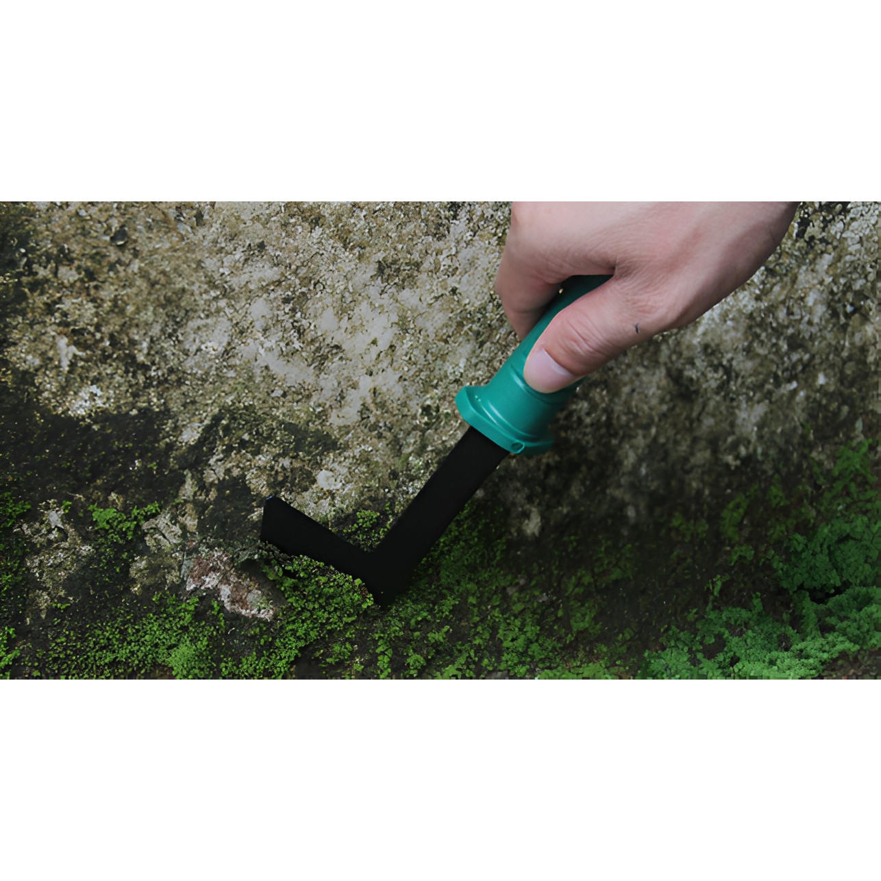 Set 12 Unelte de Gradina, , pentru Plantare Prelucrare Sol si Ingrijire Plante, Material PVC si Cardboard, Cutie Inclusa, 37x28 cm, Verde [15]