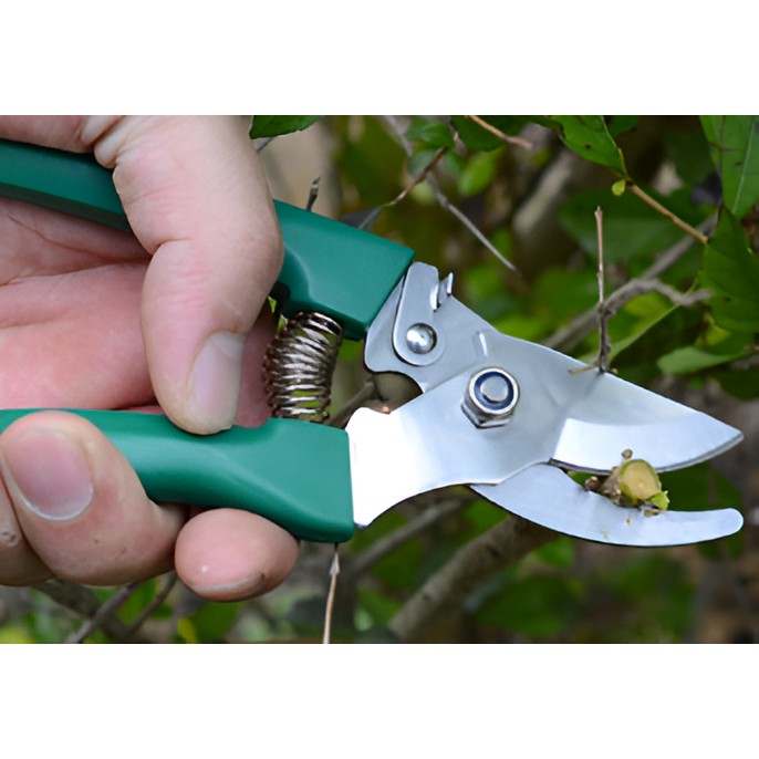 Set 12 Unelte de Gradina, , pentru Plantare Prelucrare Sol si Ingrijire Plante, Material PVC si Cardboard, Cutie Inclusa, 37x28 cm, Verde [12]