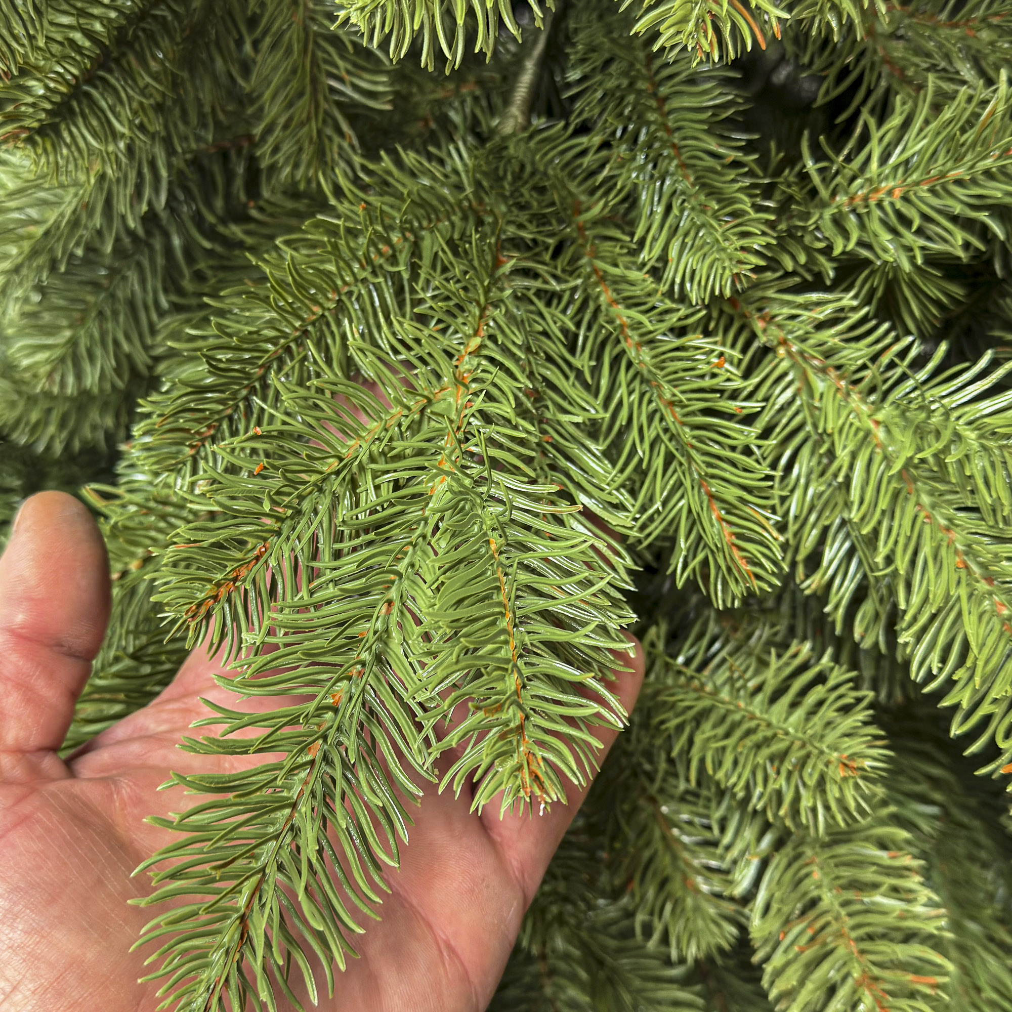 Brad artificial Sersimo, Silvee Elite, verde, integral 3D, 220 cm [4]