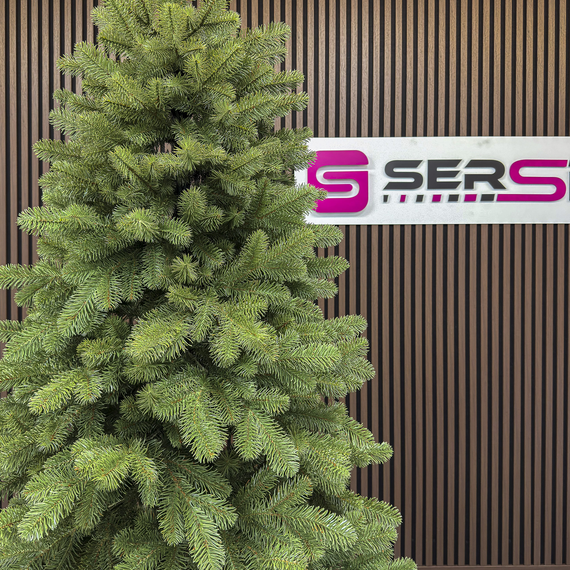 Brad artificial Sersimo, Silvee Elite, verde, integral 3D, 220 cm [11]