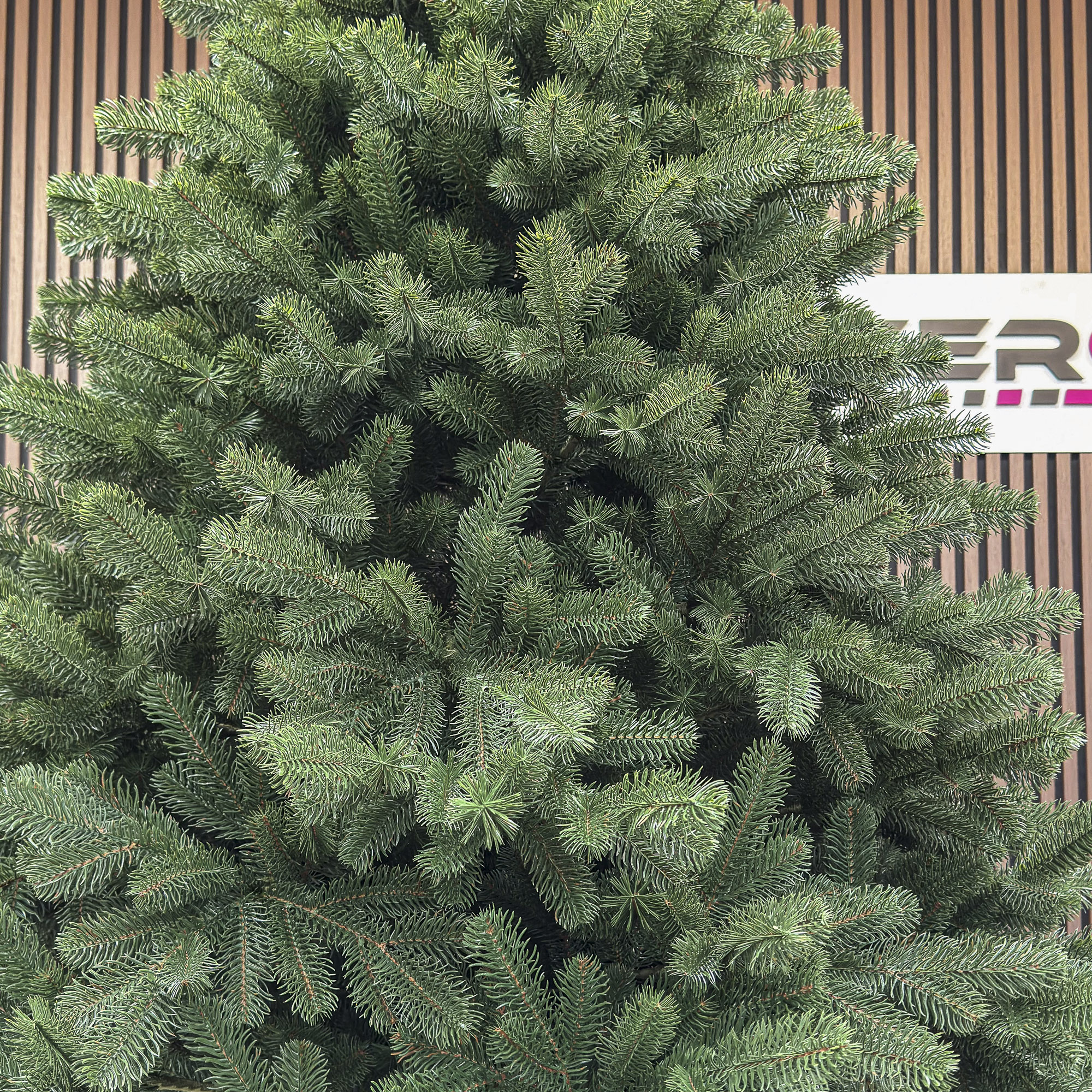 Brad artificial Christmas Deluxe by Sersimo, Versailles Select, integral 3D, 210cm [6]