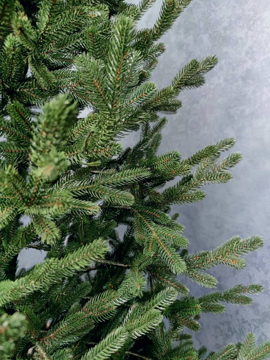 Brad artificial Christmas Deluxe by Sersimo, Viena verde, 3D, 210cm [6]