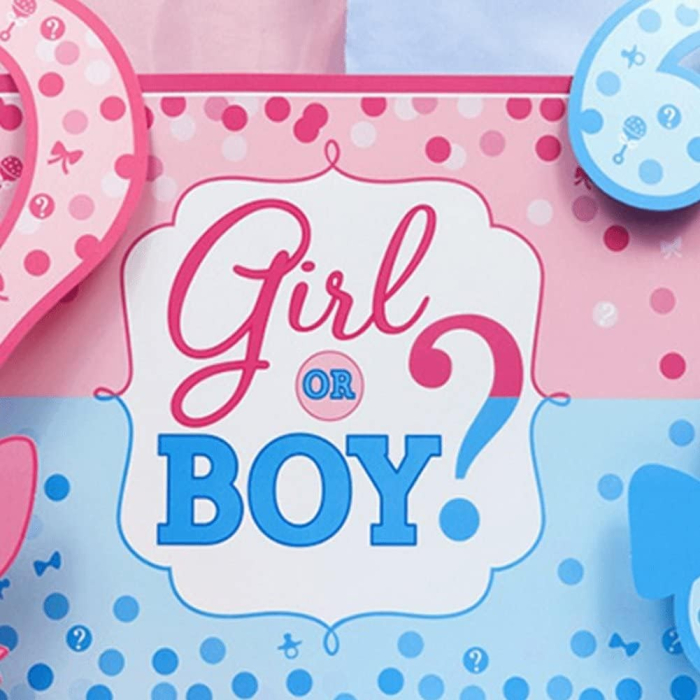 Banner pentru Petrecere, , Model Girl or Boy, Tematica Gender Reveal, 150 x 100 cm, Albastru Roz [3]