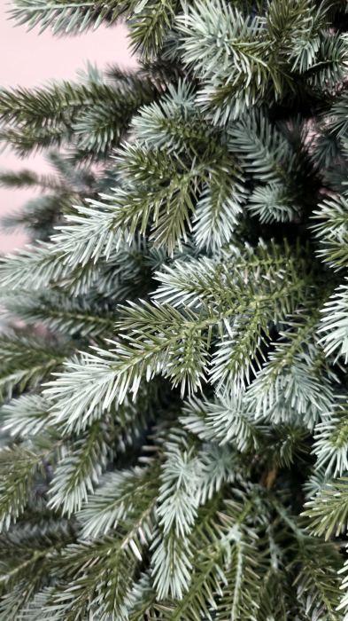 Brad artificial Christmas Deluxe by Sersimo, Alaska Select verde argintiu, integral 3D, 230 cm [16]