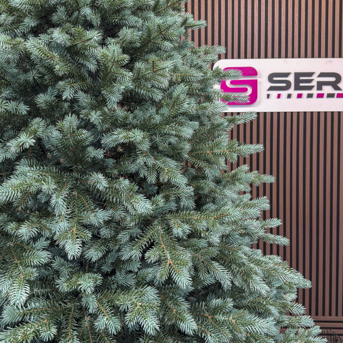 Brad artificial Christmas Deluxe by Sersimo, Alaska Select verde argintiu, integral 3D, 250 cm [10]