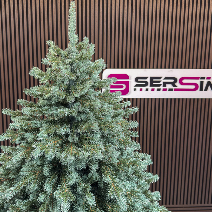 Brad artificial Christmas Deluxe by Sersimo, Alaska Select verde argintiu, integral 3D, 250 cm [6]