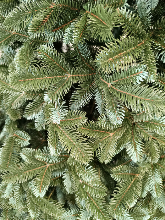 Brad artificial Christmas Deluxe by Sersimo, Canada argintiu, 3D, 210cm [12]