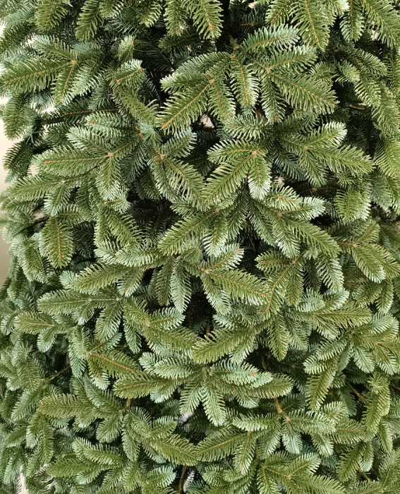 Brad artificial Christmas Deluxe by Sersimo, Canada argintiu, 3D, 230cm [3]