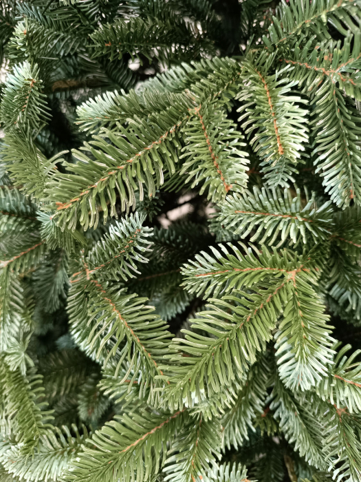 Brad artificial Christmas Deluxe by Sersimo, Canada argintiu, 3D, 230cm [5]