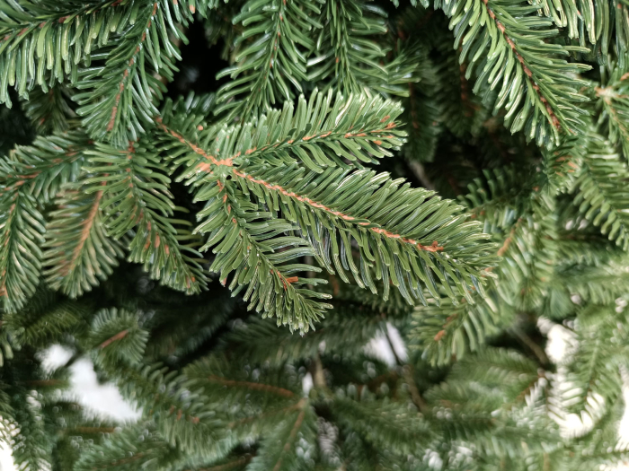 Brad artificial Christmas Deluxe by Sersimo, Canada verde, 3D, 210cm [6]