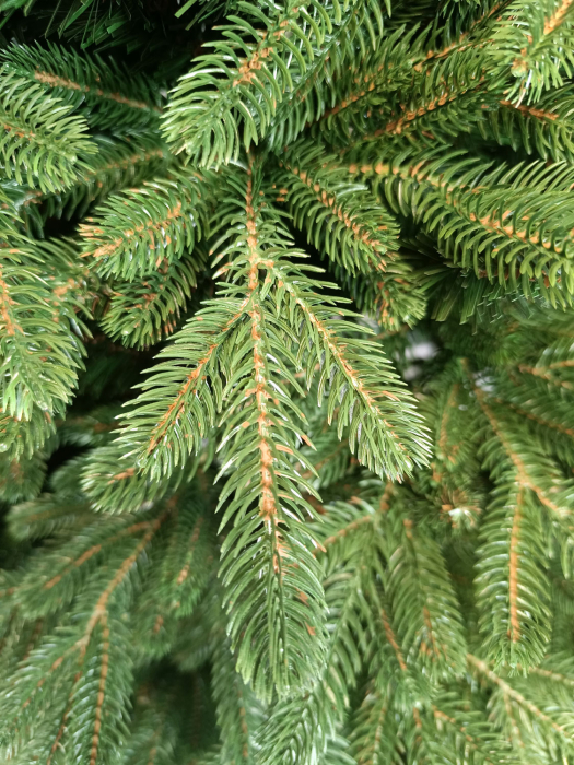 Brad artificial Christmas Deluxe by Sersimo, Carpati, 2D+3D, 250cm [6]