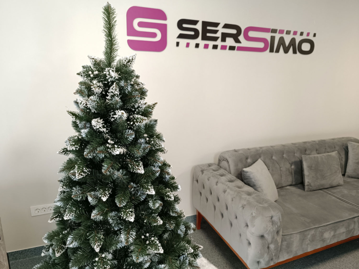 Brad artificial Christmas Deluxe by Sersimo, Crystal nins cu merisoare, 2D, 180cm [5]