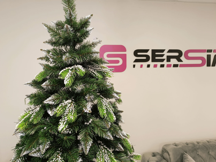 Brad artificial Christmas Deluxe by Sersimo, Diamant, 2D+3D, 220cm [12]